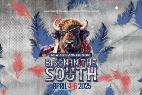 Bison In the South graphic